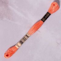 DMC - DMC MULİNE - 3341