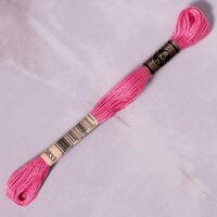 DMC - DMC MULİNE - 3833