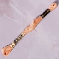 DMC - DMC MULİNE - 3856