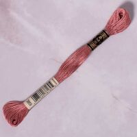 DMC - DMC MULİNE - 3859