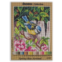 ORCHIDEA - ORCHIDEA 24X30CM GOBLEN - 2560H