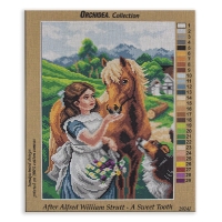 ORCHIDEA - ORCHIDEA 30X40CM GOBLEN - 2924J