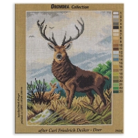 ORCHIDEA - ORCHIDEA 30X40CM GOBLEN - 2944J